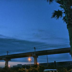 美女被草的网址
